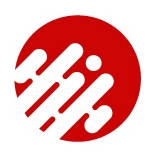 Double Time Networks Logo